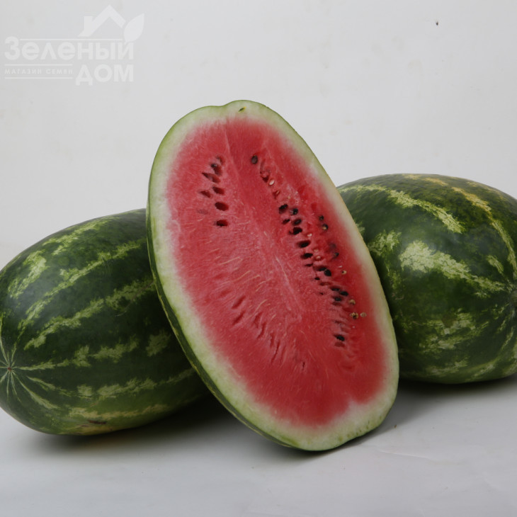 ЛС 1807 F1 / LS 1807 F1 фото 1