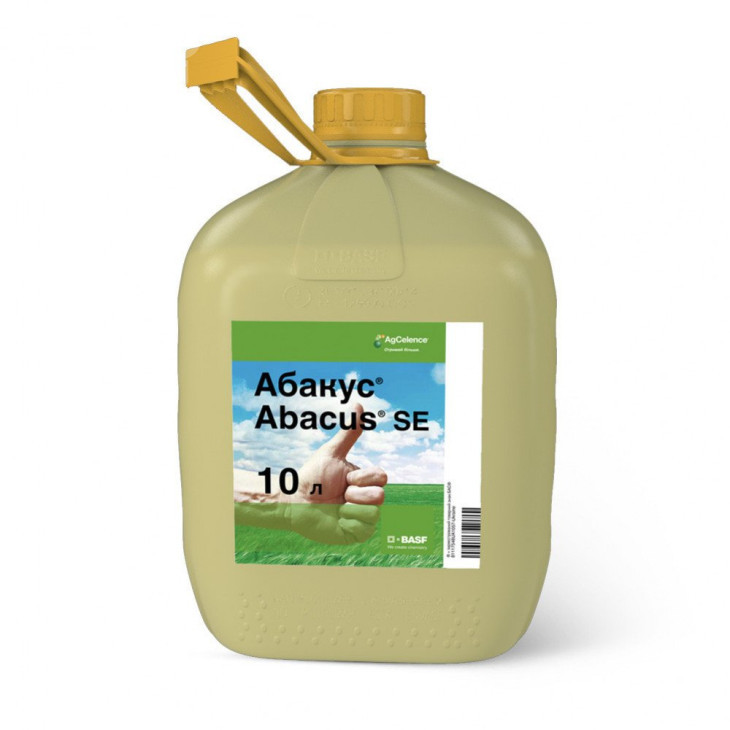 Абакус / Abacus, SE фото 1