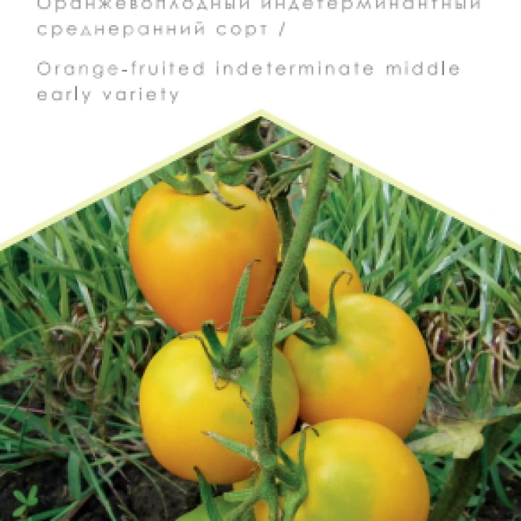 Де барао золотой / De barao zolotoy фото 1