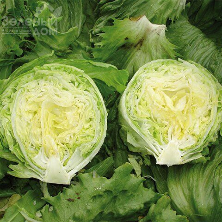 Енсамбл / Ensamble фото 1