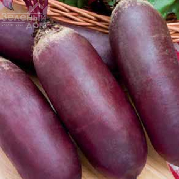 Атаман / Ataman фото 1