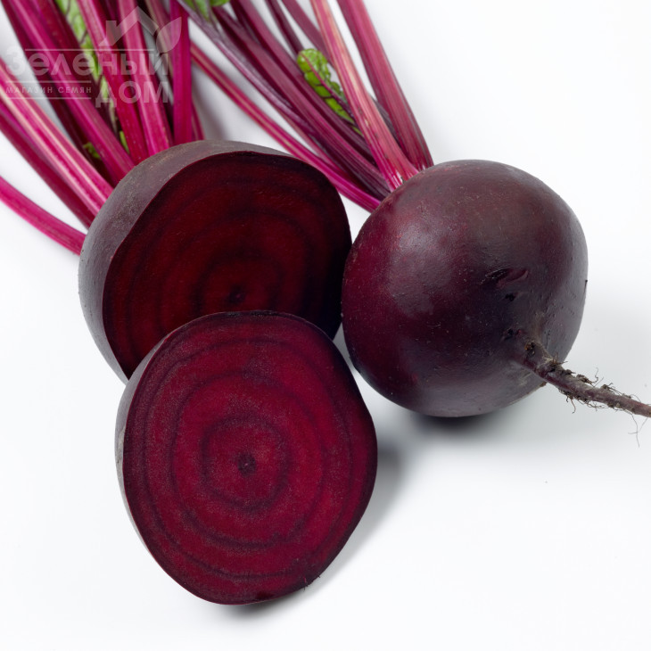 Кестрел F1 / Kestrel F1,115-120 днів фото 1