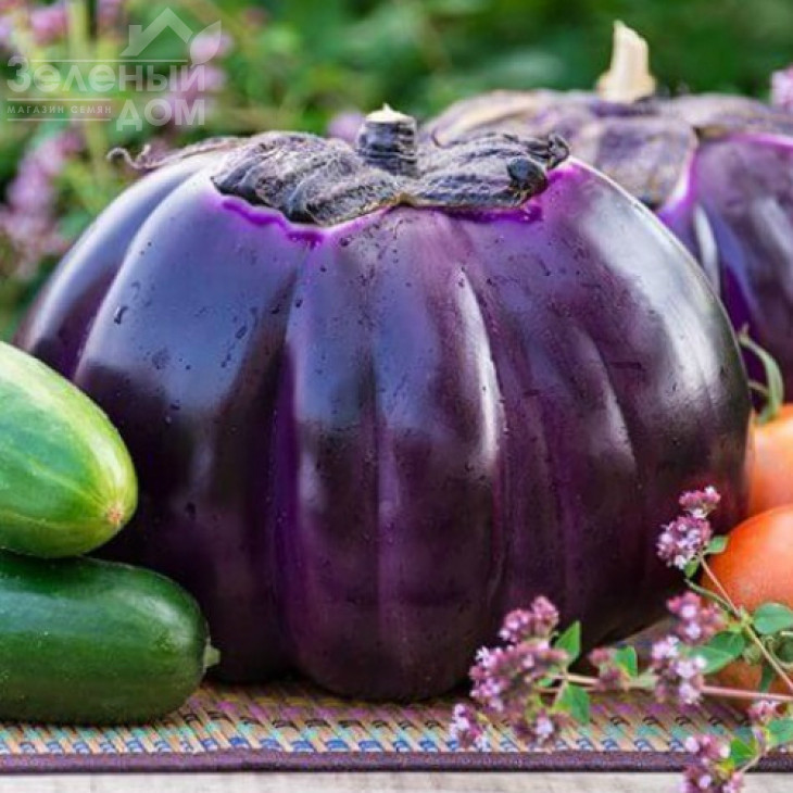 Флоренція / Florence фото 1