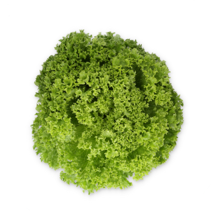 Ліадін / Liadine фото 3