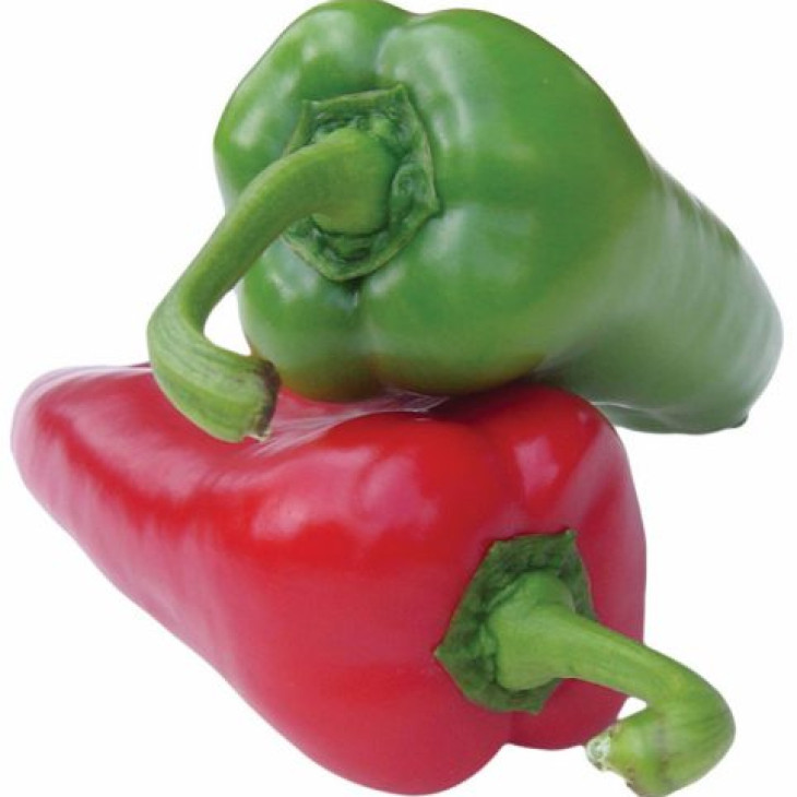 Магус F1 / Magus F1,60 днів фото 1