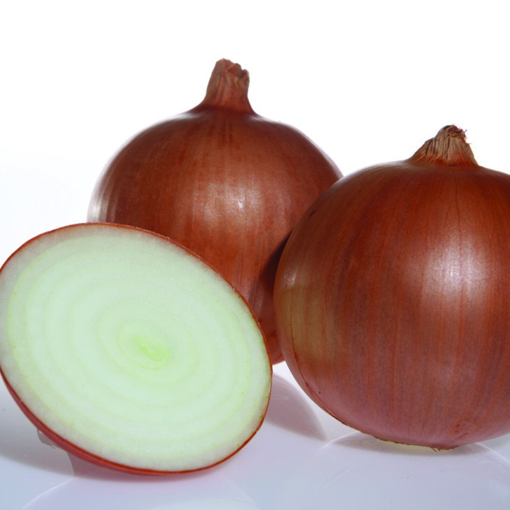 Утреро F1 / Utrero F1,120-125 днів фото 1