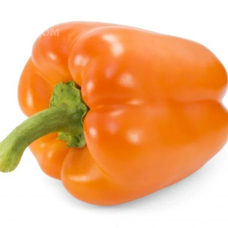 Симпати F1 / Sympathy F1,80-90 дней фото 2