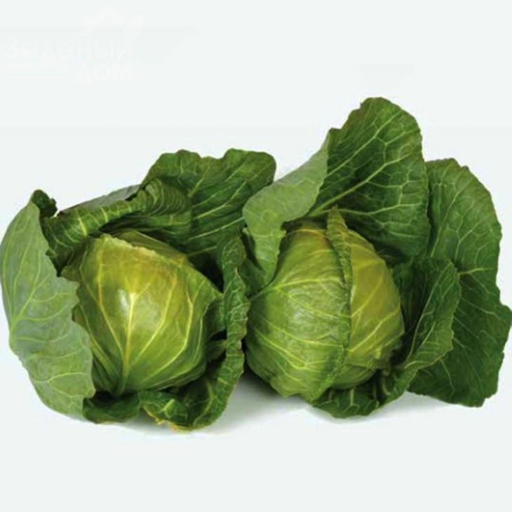 Лауда F1 / Lauda F1, 42-46 днів фото 1