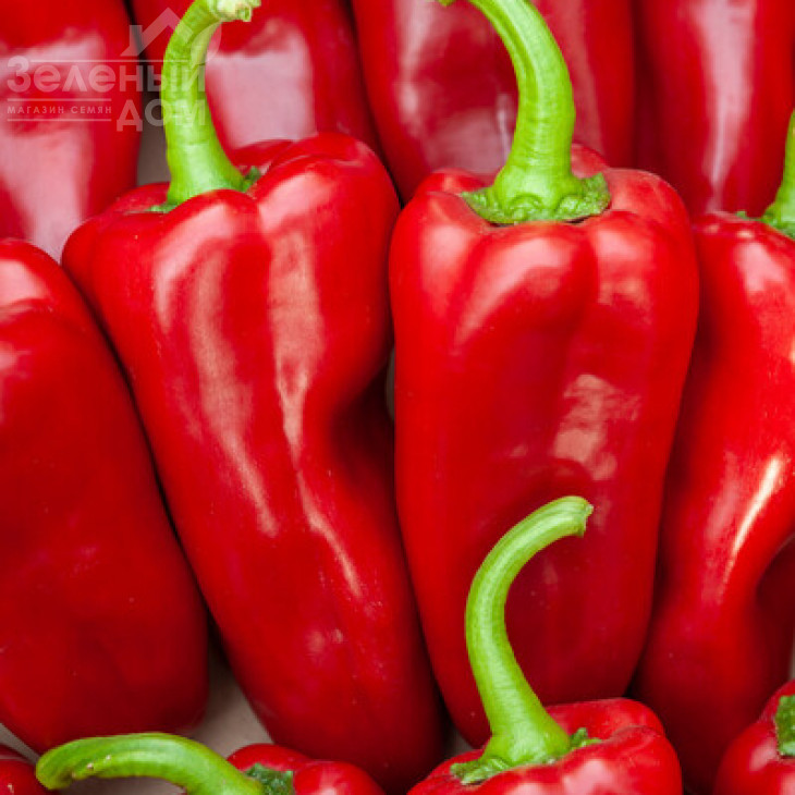 Дінаміка F1 / Dinamica F1, 75-77 днів фото 1