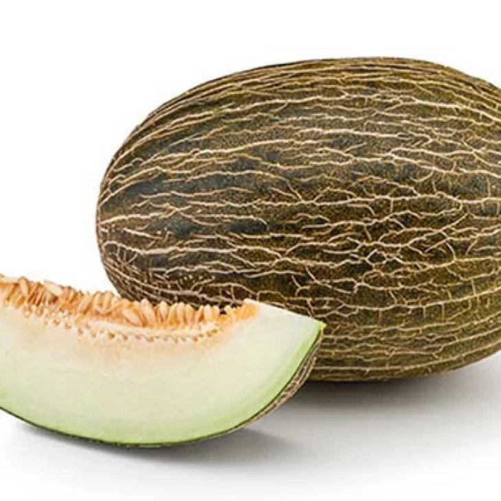 Рикура F1 / Ricura F1,75-85 дней фото 2