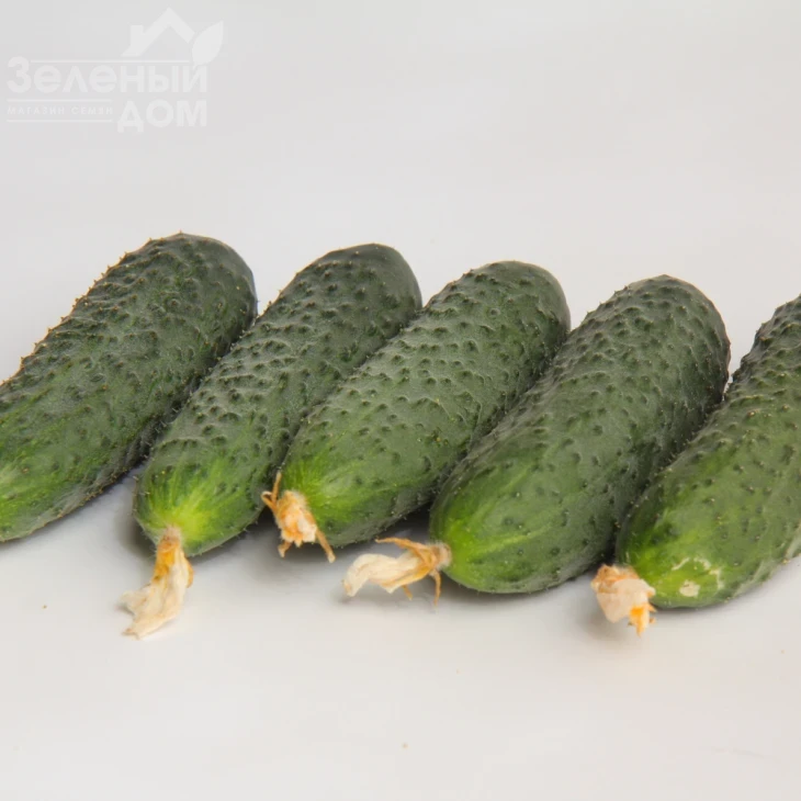 Азарт F1 / Azart F1 фото 1