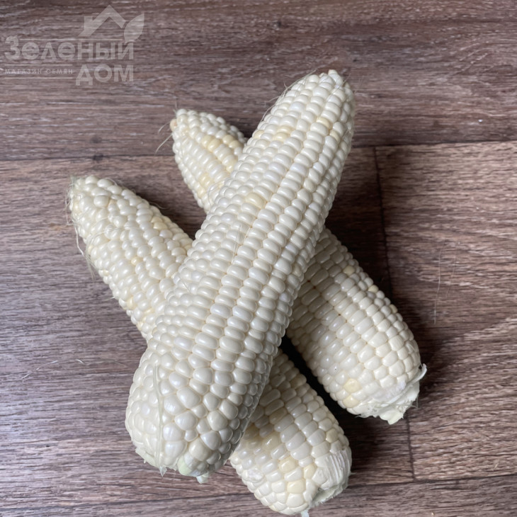 Айрон F1 / Ayron F1, 74 дні фото 3