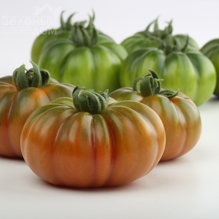 Марсалато F1 / Marsalato F1 фото 1