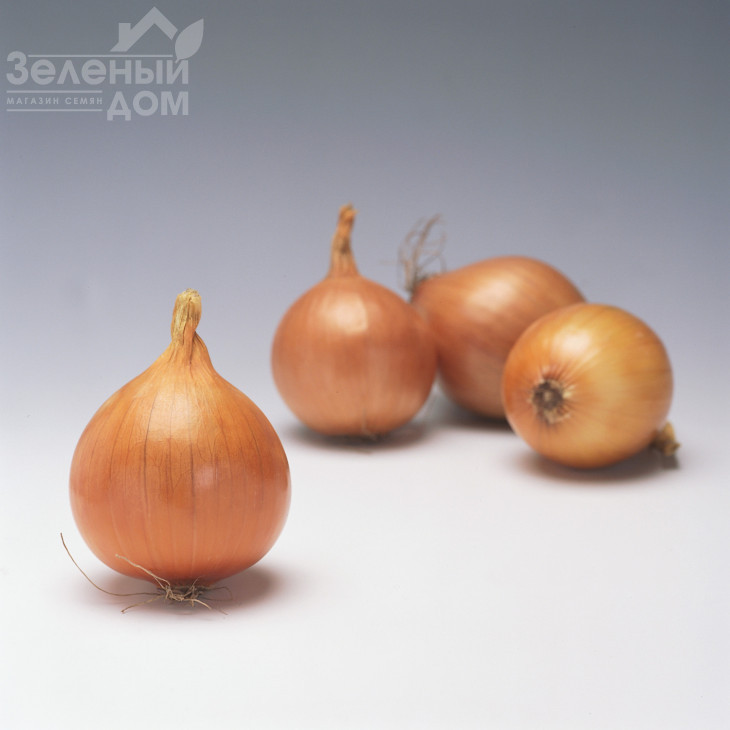 Мундо / Mundo,125-130 днів фото 1