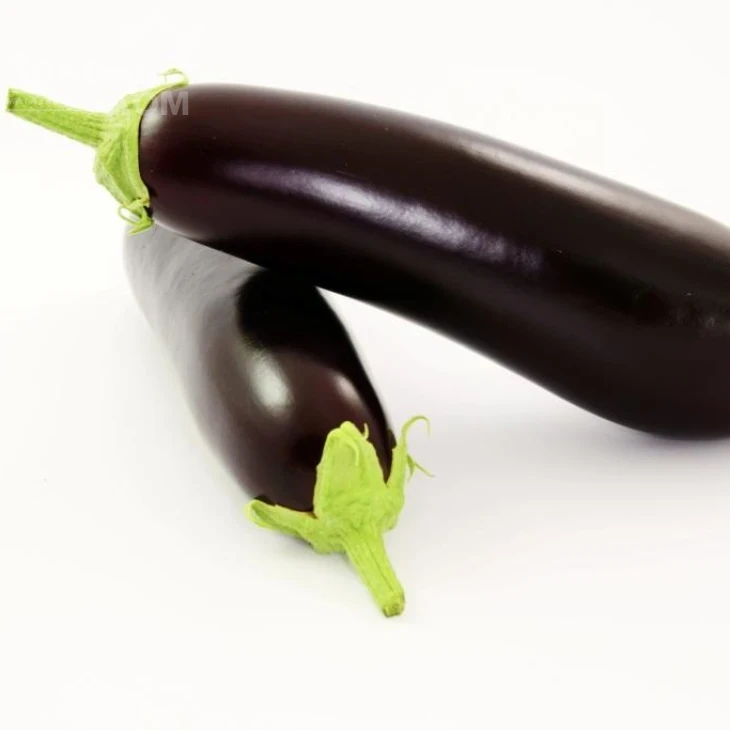 Честер F1 / Chester F1,65-75 дней фото 1