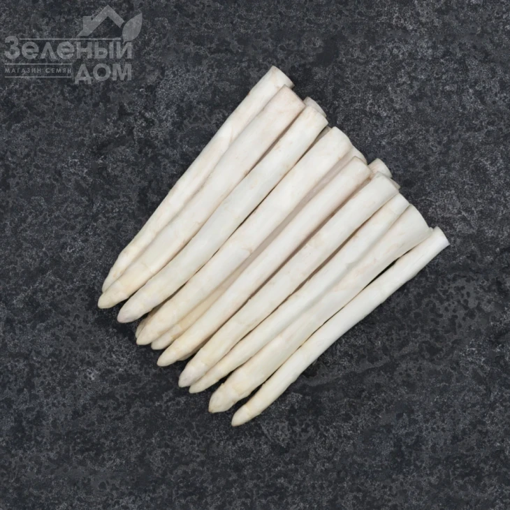 Приус F1 / Prius F1 фото 2