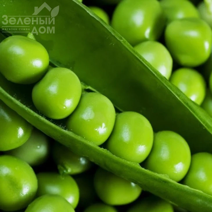 Экселенс / Excalance фото 1