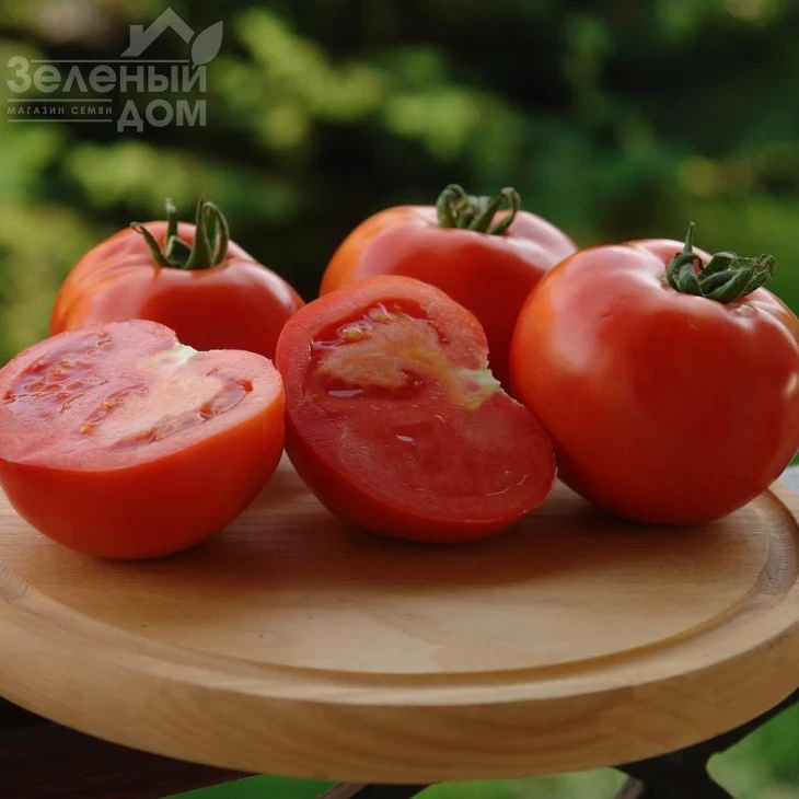 Таня F1 / Tanya F1,75-80 дней фото 1