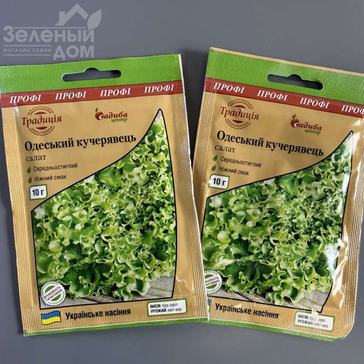 Одеський кучерявець / Odesskyy kucheryavec фото 1