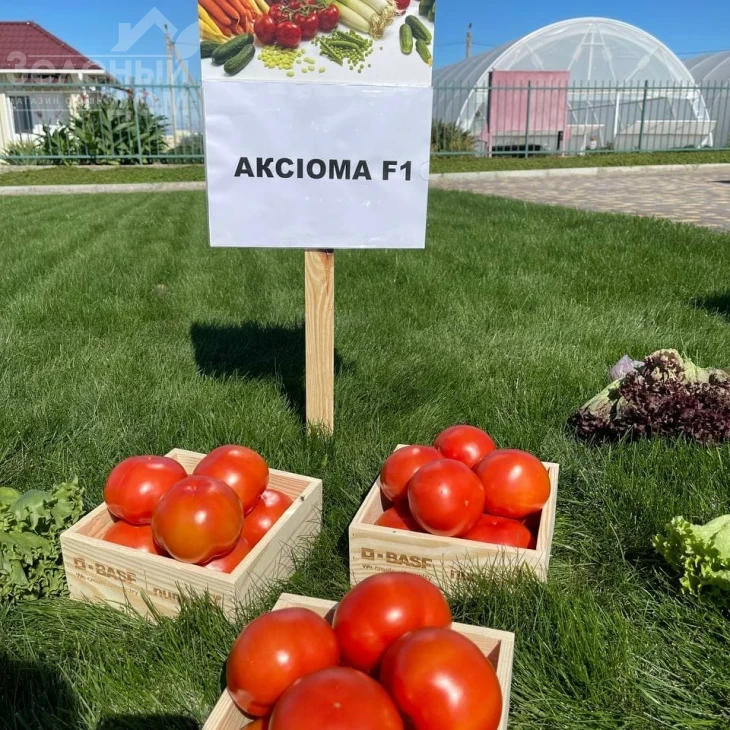 Аксиома F1 / Axiom F1,50-55 дней фото 1