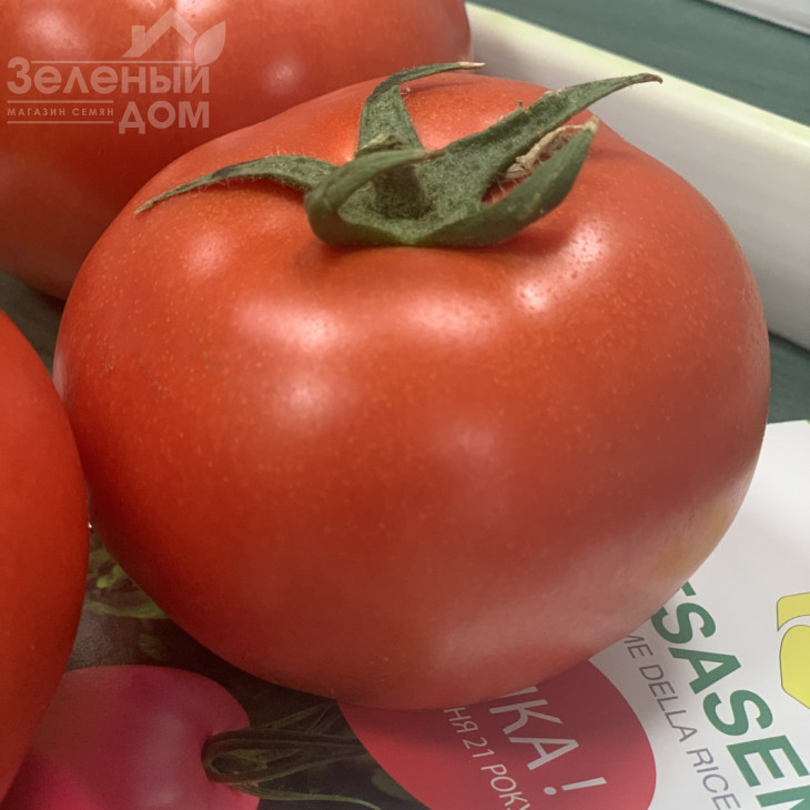 Адріатіка F1 / Adriatika F1, 60-65 днів фото 1