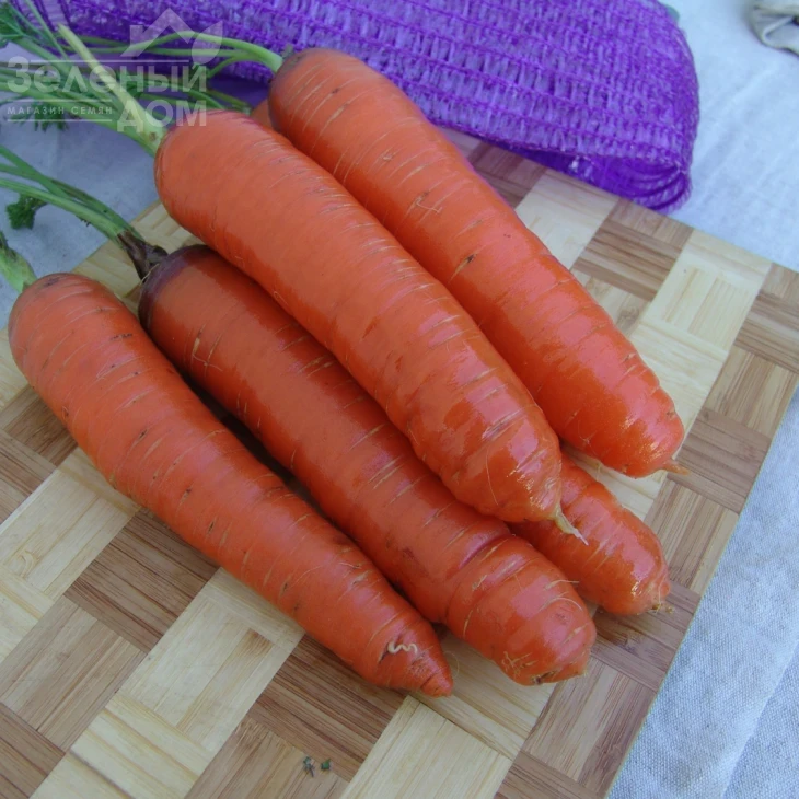 Кортина F1 / Kortina F1,150-160 дней фото 1