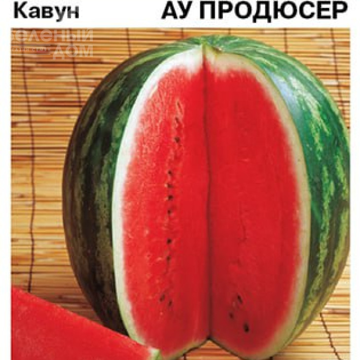 Ау Продюсер / AU Producer, 70-75 днів фото 3