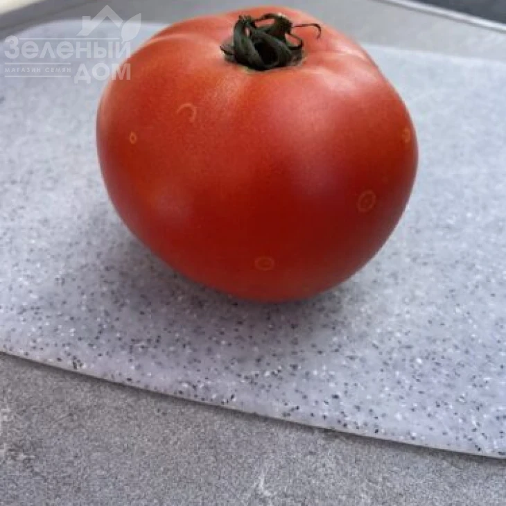 Стронг F1 / Strong F1, 115 дней фото 4