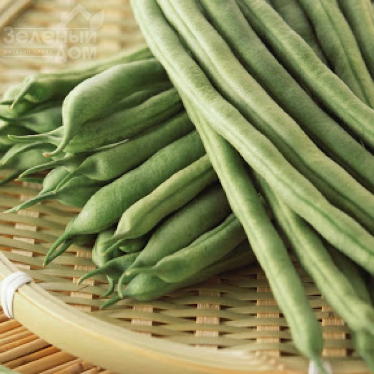 Гама / Gama фото 1