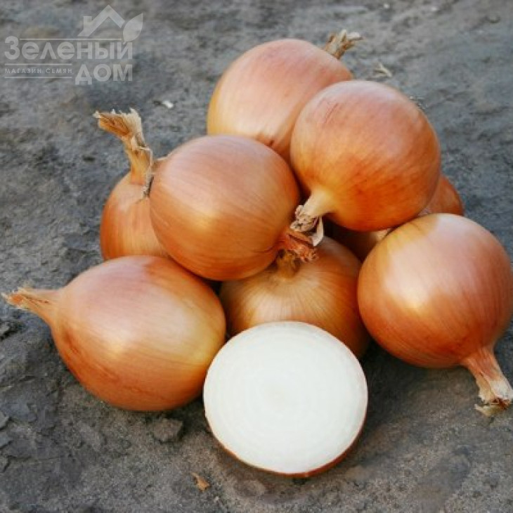 Саброссо F1 / Sabrosso F1,120-125 днів фото 1