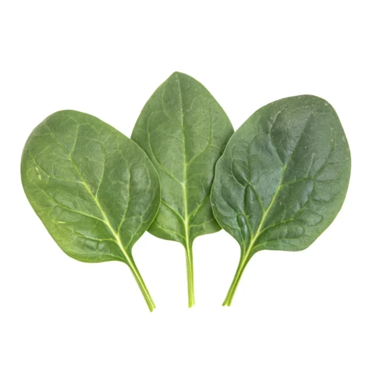 Паркер F1 / Parker F1 фото 1