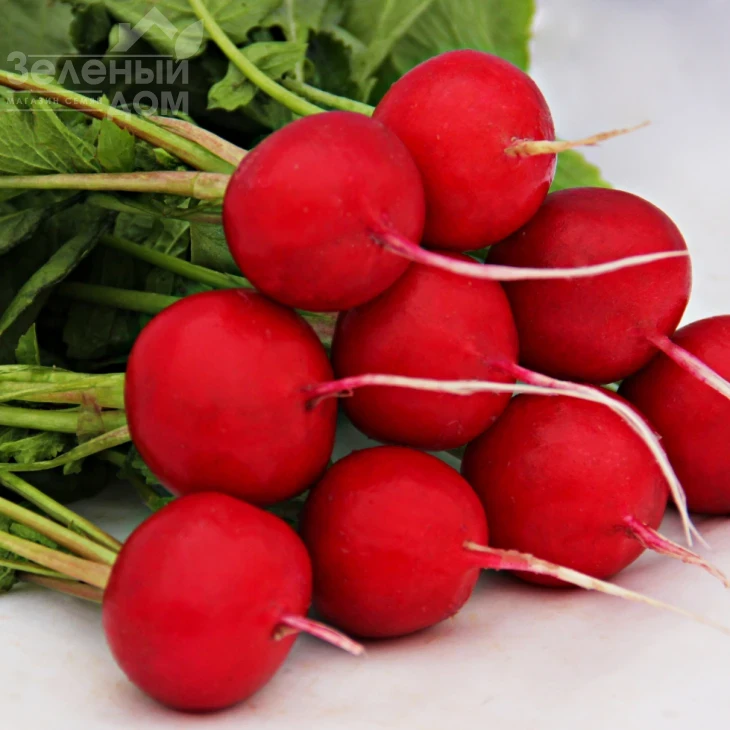 Адель F1 / Adel F1 (Премиум),22-25 дней фото 2