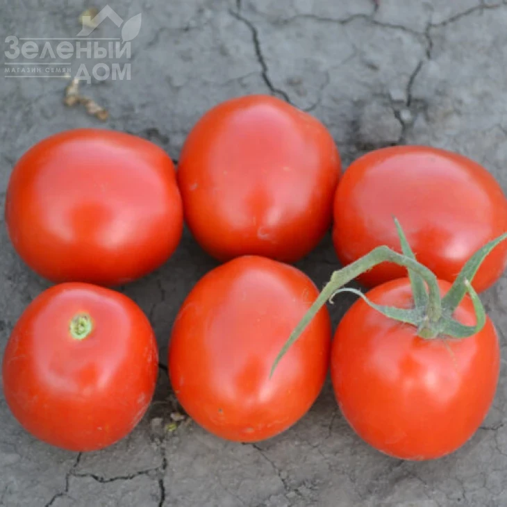 Грандо F1 / Grando F1,95 дней фото 1