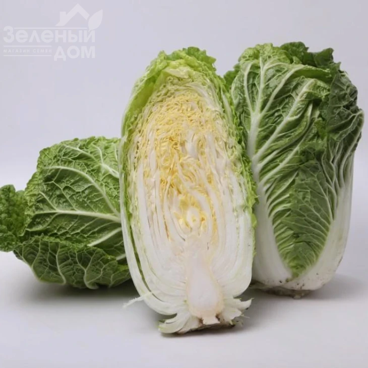 Ясира F1 / Yasira F1 фото 2