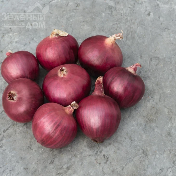 Ред Булл F1 / Red Bull F1,115-120 дней фото 1