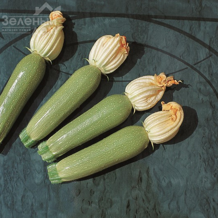 Алія F1 / Alija F1,40-45 днів фото 3