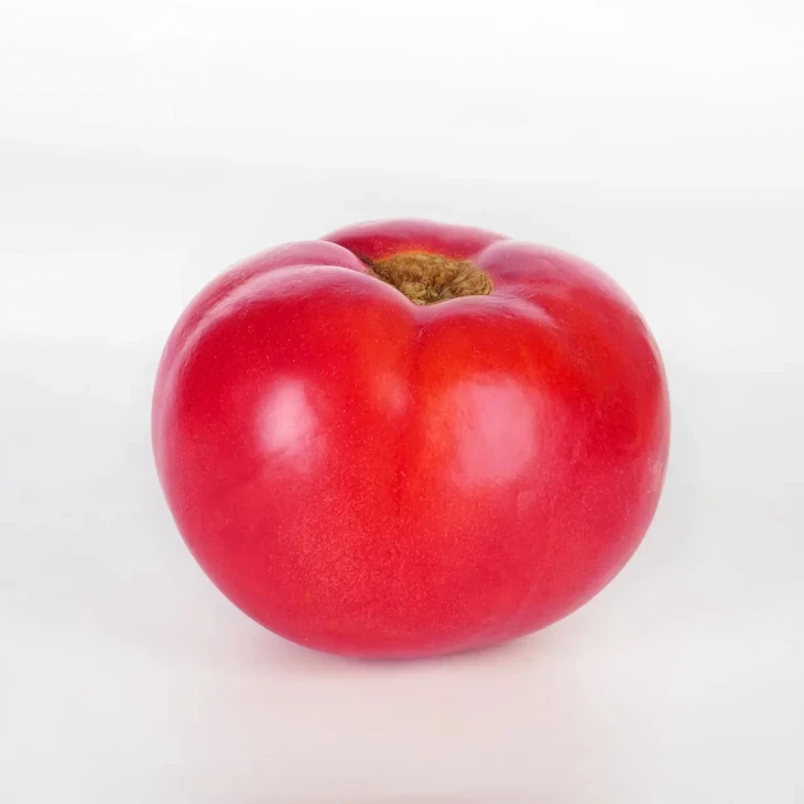 Барселона F1 / Barselona F1,65-70 дней  фото 1