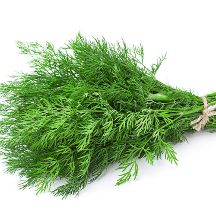 Брум / Brum фото 1