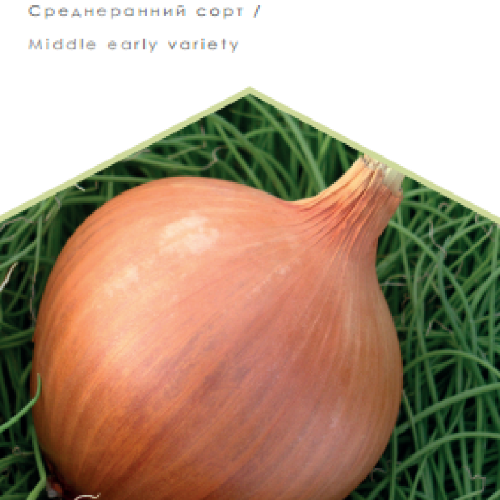 Халцедон / Chalcedony фото 1