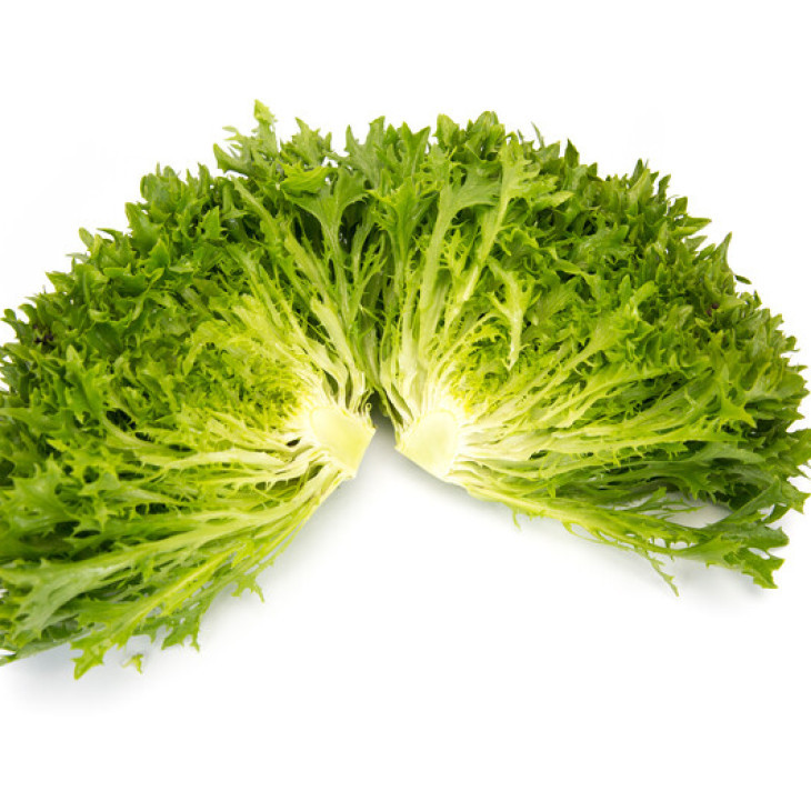 Екзем / Exam фото 1