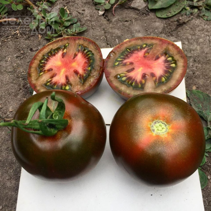 Мавр F1 / Mavr F1,110 днів фото 1