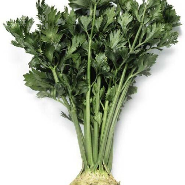 Мерга / Merga фото 1