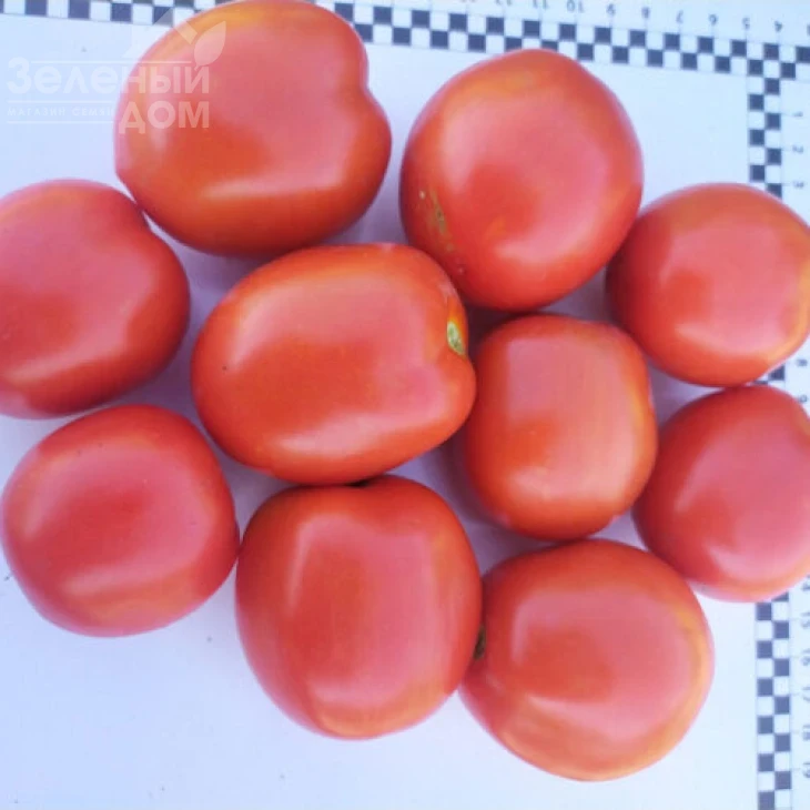 9960 F1 / 9960 F1, 110 дней фото 1