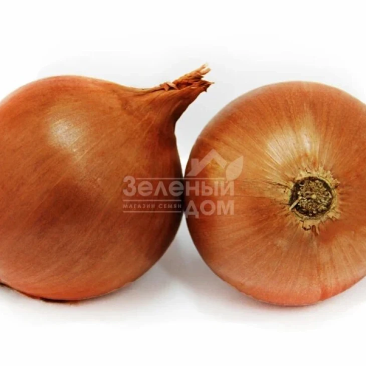 Скайбел F1 / Skybell F1 фото 1