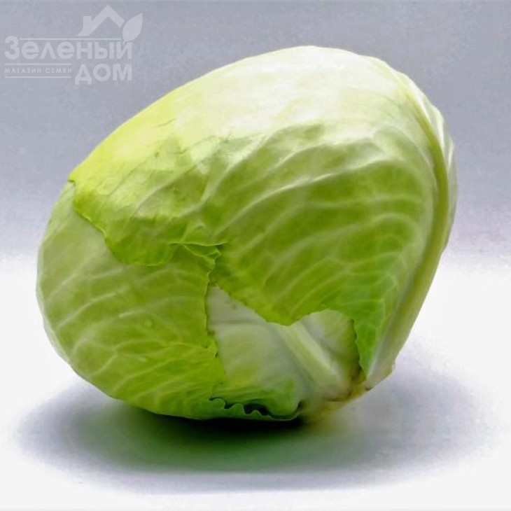 Тайсон F1 / Tayson F1 фото 2