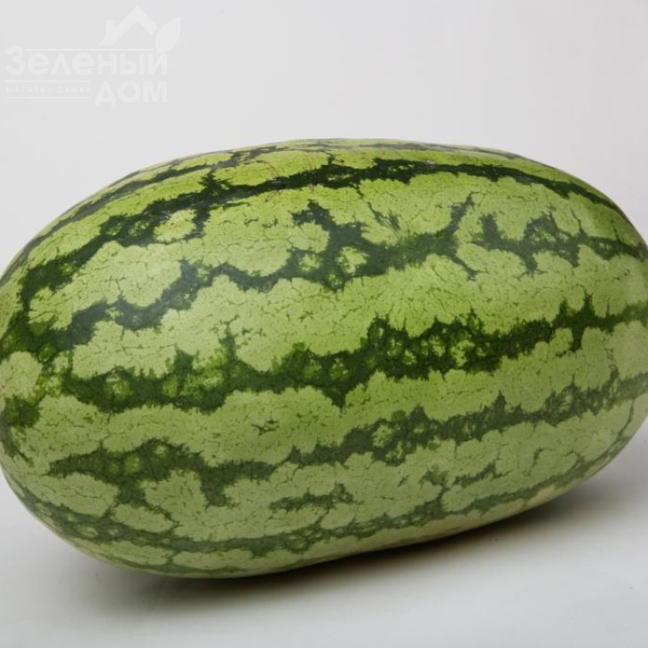 Астерікс (LS 1805) F1 / Asterix  (LS 1805) F1 фото 1