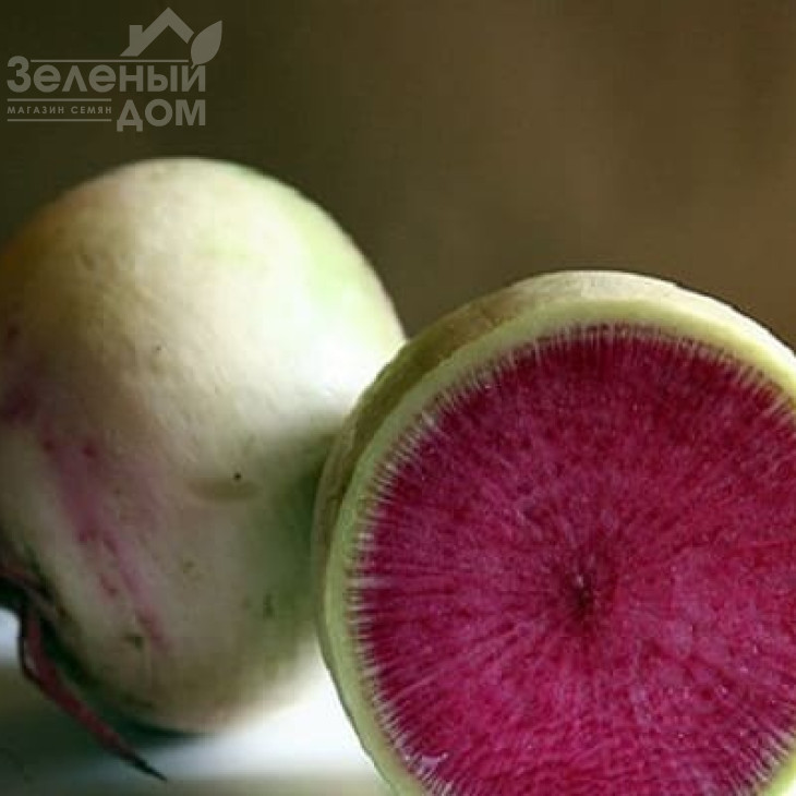 Ред Міт  / Res Mit,60 днів фото 1