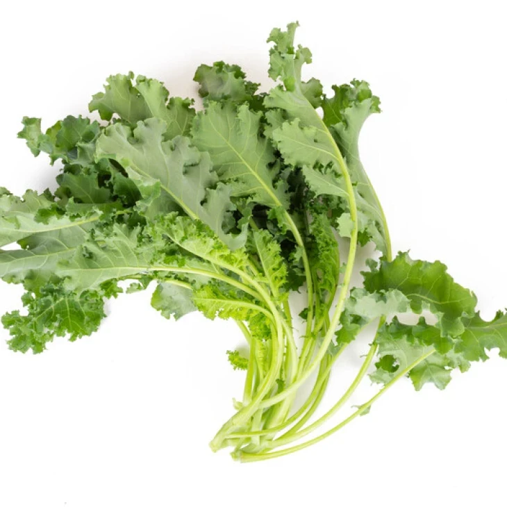 Карилло F1 / Karillo F1, 45-75 дней фото 3