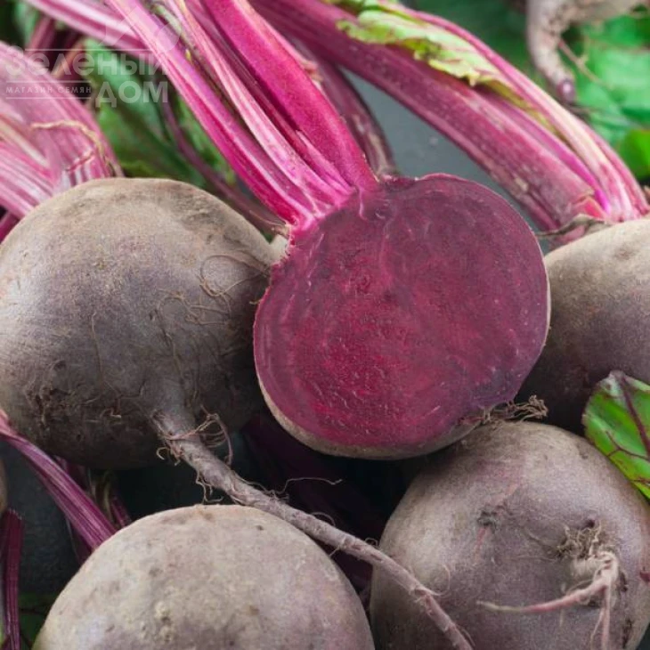 Детройт Дарк Ред / Detroit Dark Red,80 дней фото 1