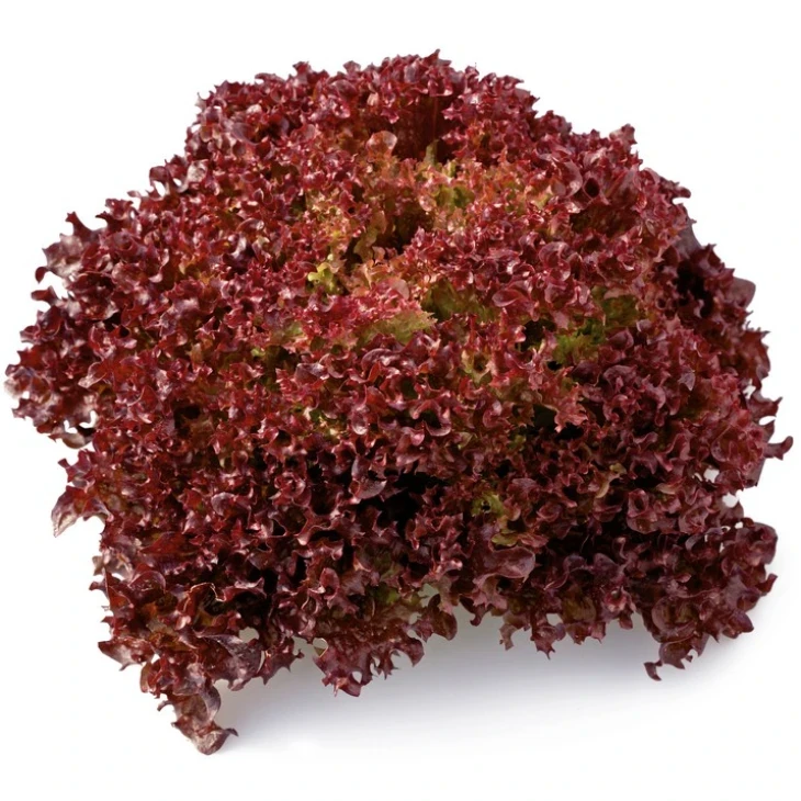 Кармеcи / Carmesi фото 1